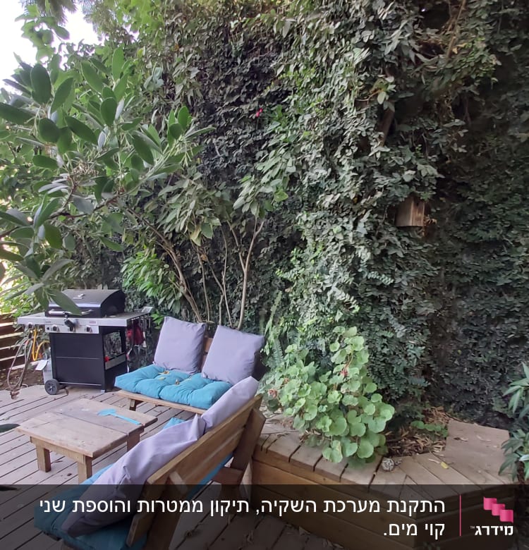 צמחים מטפסים על קיר, עציצים על דק עץ